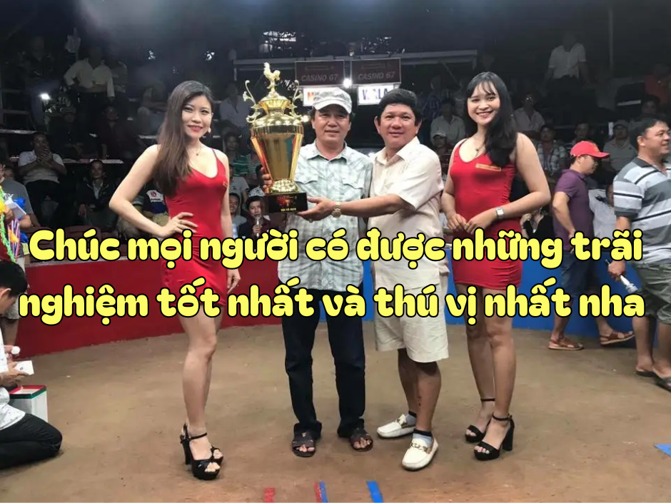 đá gà online tiện lợi an toàn đá gà online tiện lợi an toàn