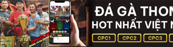 Đá gà trực tuyến online mỗi ngày Trang đá gà thomo uy tin số 1 hiện nay