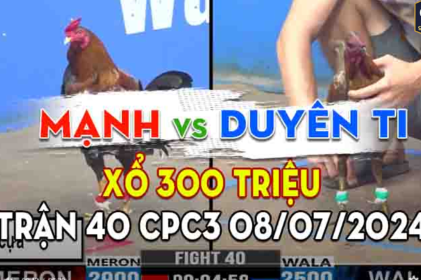 Đá gà thomo trực tuyến